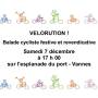 velorution_small.jpg