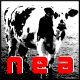 Non à l'Exploitation Animale