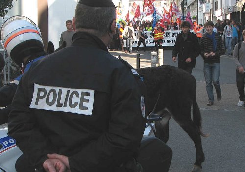 20101012-vannes2-m.jpg